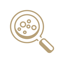 Research Use Only